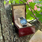 To My Amazing DAD from Son Men's Openwork Watch